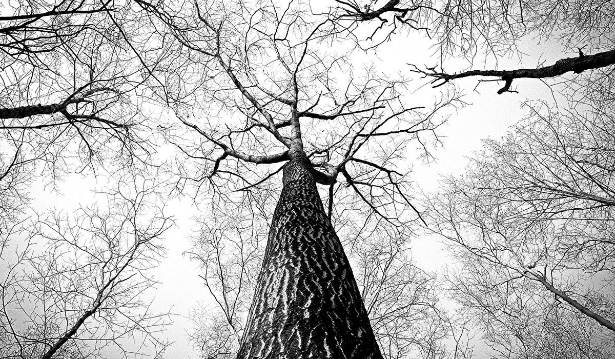 blog single post